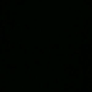 Meet your Posher, Daisy